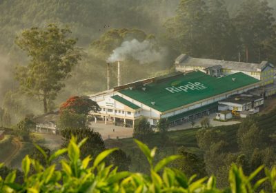 WhatsApp Image 2026-01-09 at 9.51.26 AM